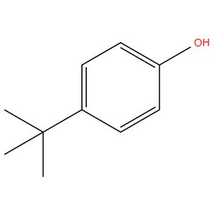 p-tert Butyl phenol