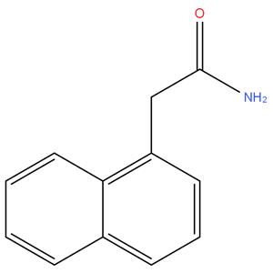 2-(1-Naphthyl) Acetamide