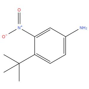 4-tert-butyl-3-nitro-phenylamine