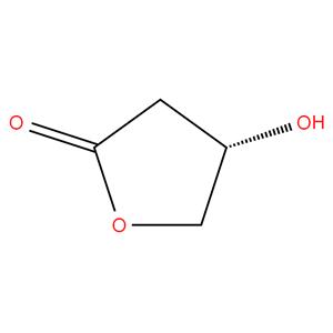 (S)-4-Hydroxy dihydrofuran-2(3H)-one